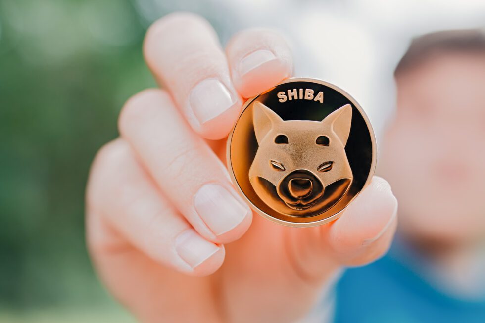 Shiba Inu Millionaire Numbers Decline Rapidly As Shib Price Suffers-Bitrabo