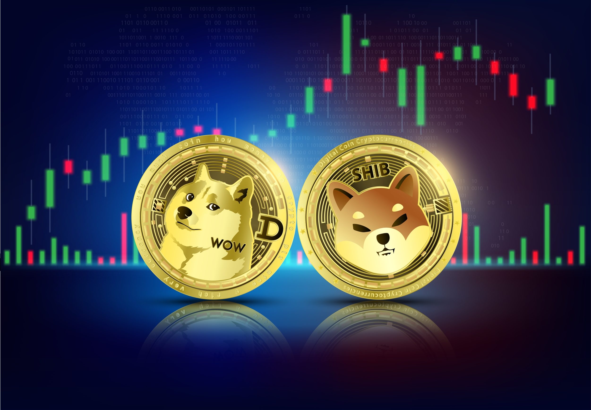 Shiba Inu Adoption Explodes Almost 20X, Can Shib Dethrone Doge?