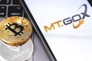 Mt. Gox