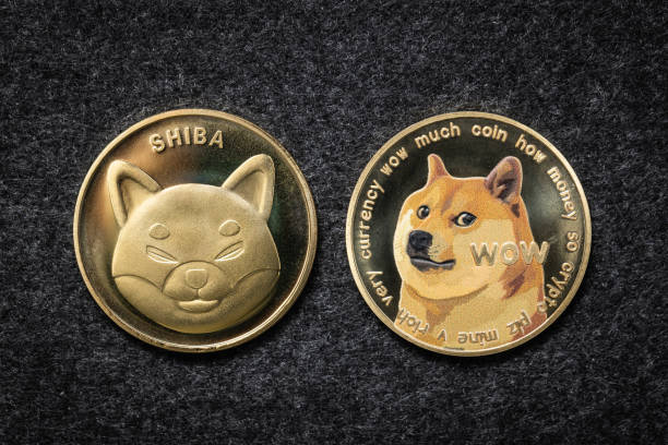 Shiba Inu