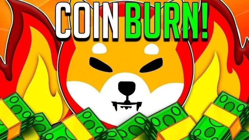 Shiba Inu Shib Burn Binance Petition