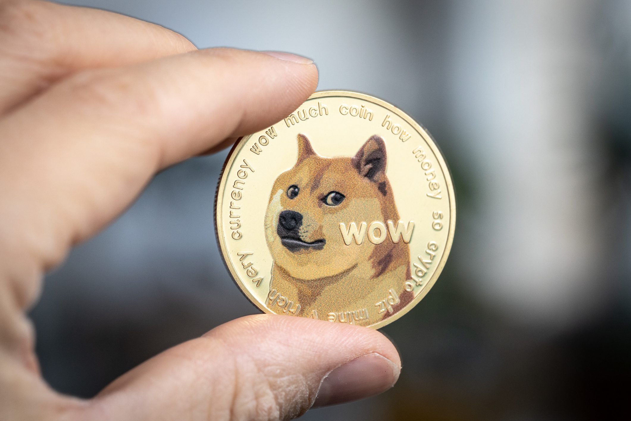 Dogecoin news