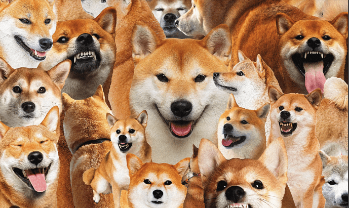 Dogecoin