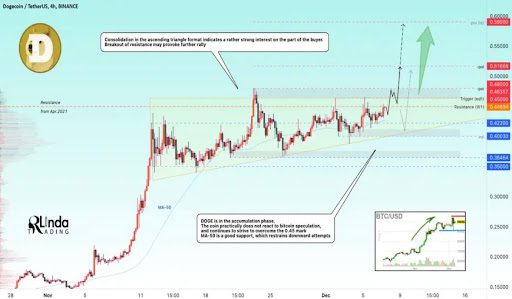 Dogecoin Price Rally 1