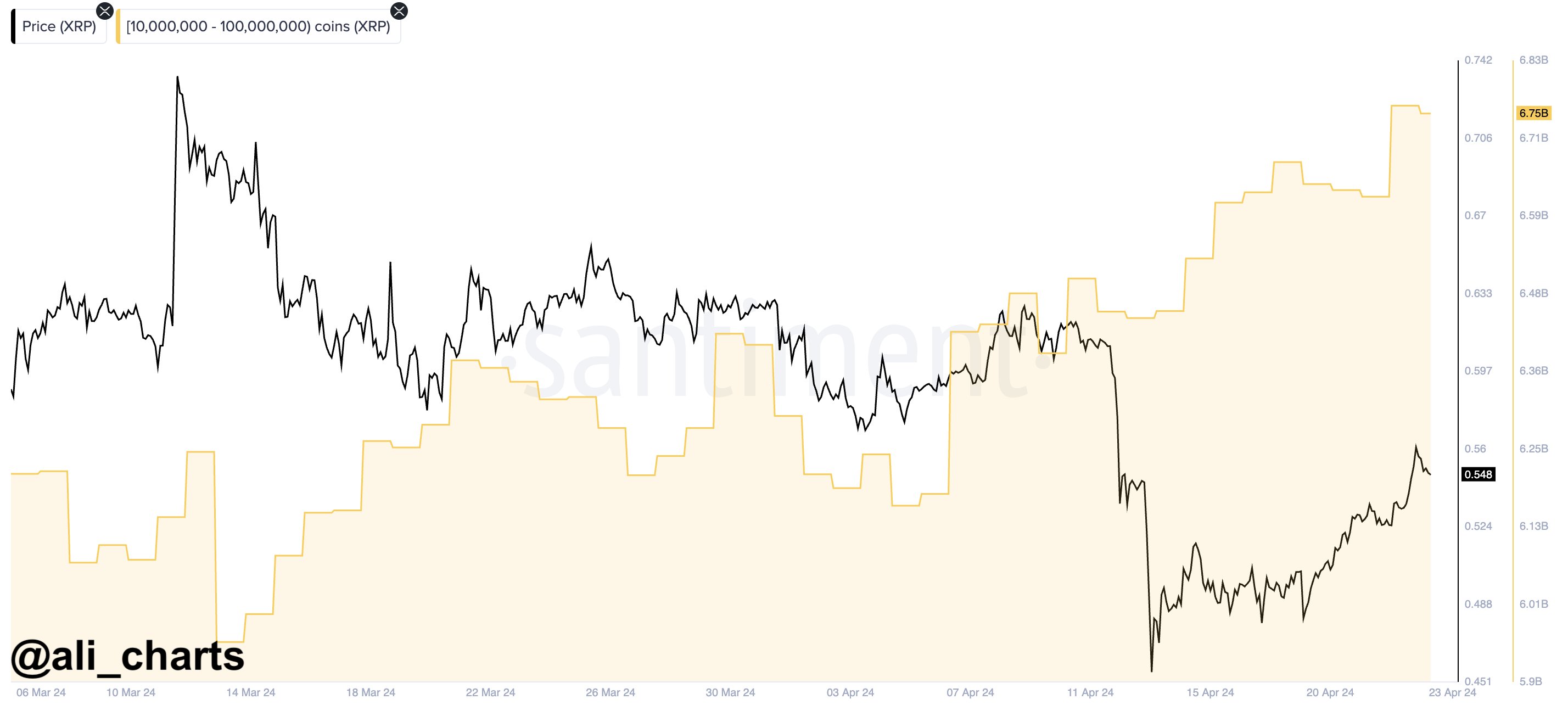 XRP Whales