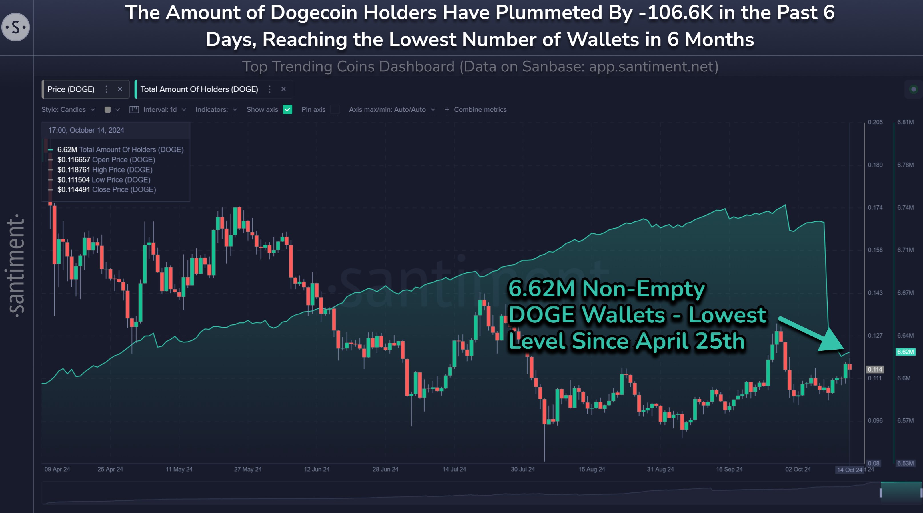 Dogecoin Holder Trends