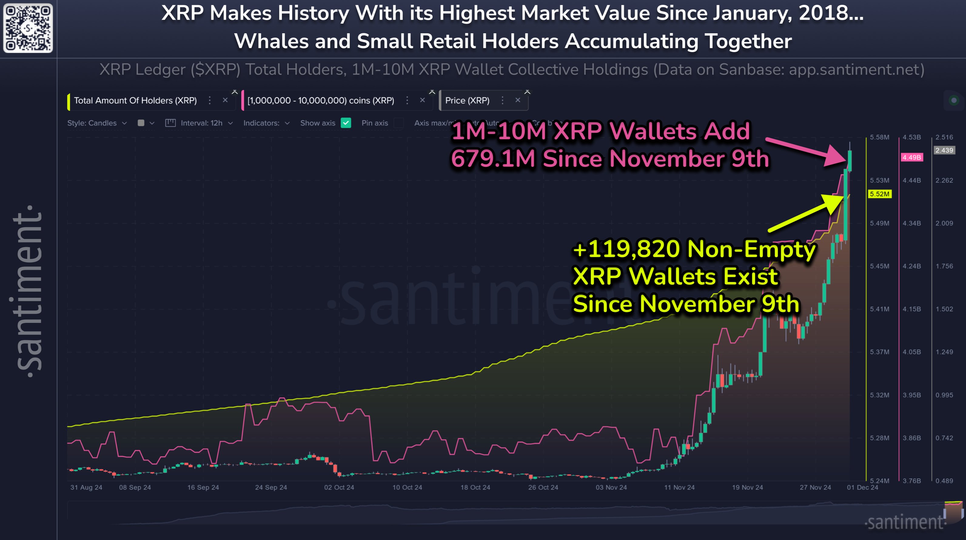 XRP Whale Holdings